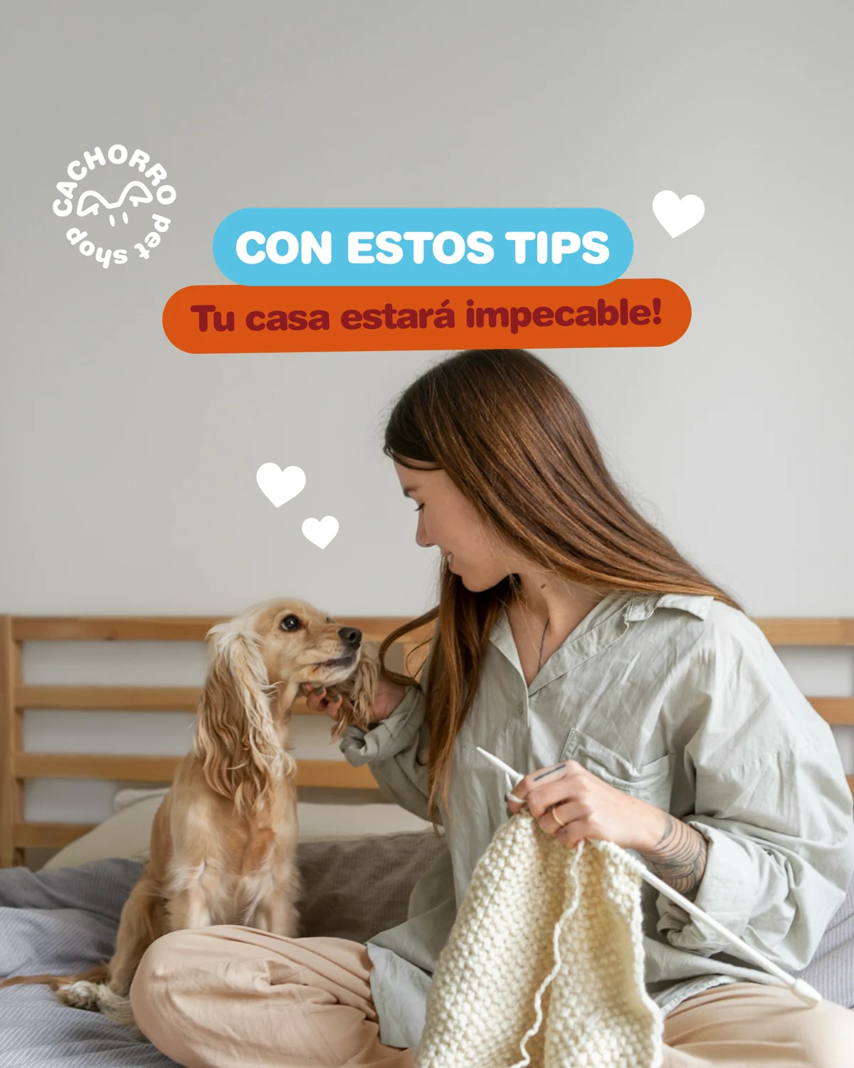 Cachorro Pet Shop · Feed · pieza 3